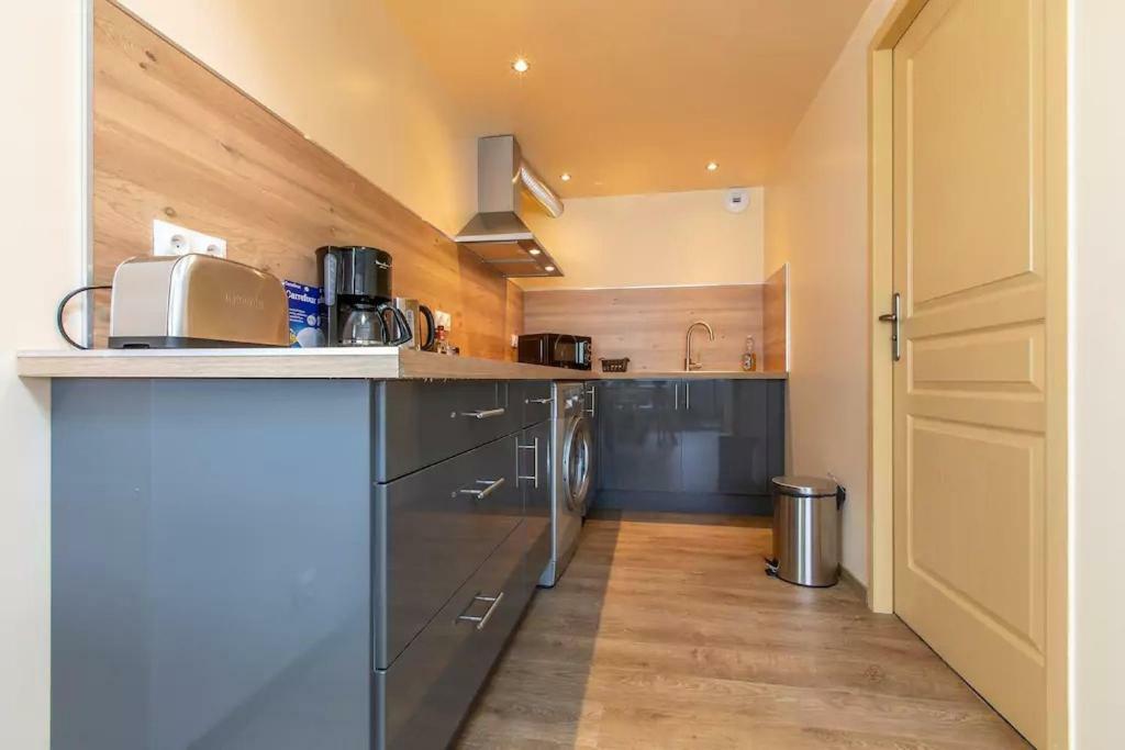 Domaine des Ecuries - Appartements meublés à Talloires Esterno foto